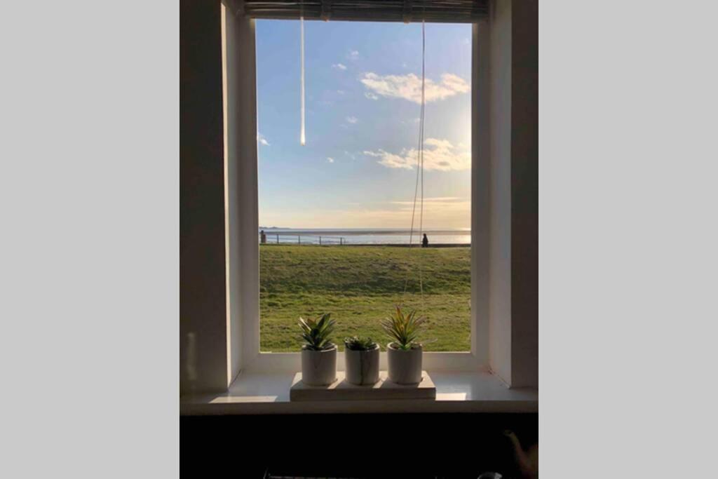 CockleDora Lägenhet Llanelli Exteriör bild